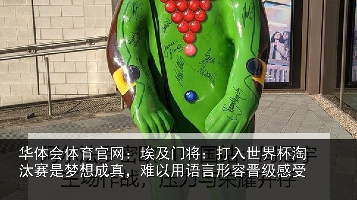 华体会体育官网：埃及相关情况汰赛相关情况语言形容晋级感受