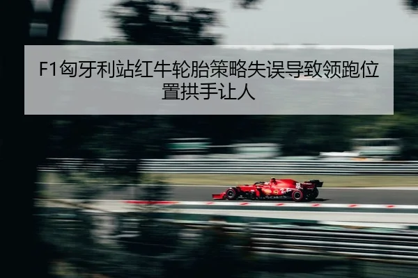 xiong-ya-li-zhan-hong-niu-lun-tai-ce-lve-shi-wu-dao-zhi-ling-pao-wei-zhi-gong-shou-rang-ren-2-234.jpg