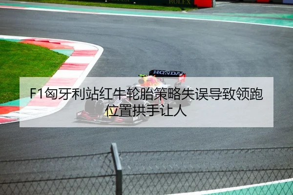 F1匈牙利站红牛轮胎策略失误导致领跑位置拱手让人