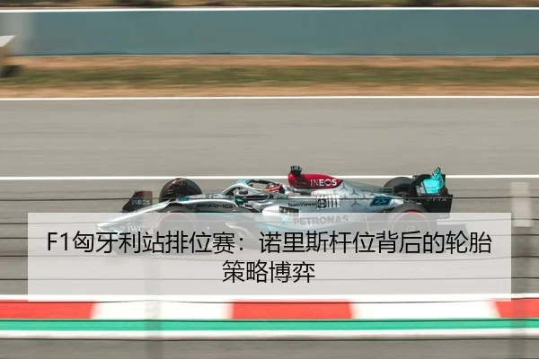 F1匈牙利站排位赛：诺里斯杆位背后的轮胎策略博弈