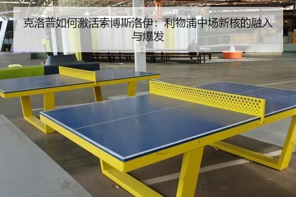 ke-luo-pu-ru-he-ji-huo-suo-bo-si-luo-yi-li-wu-pu-zhong-chang-xin-he-de-rong-ru-yu-bao-fa-2-468.jpg
