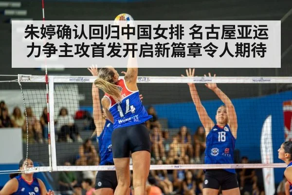volleyball match arena